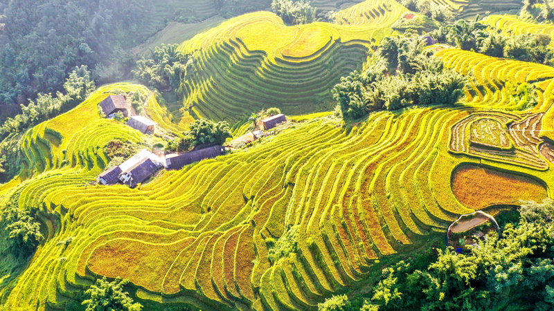 Autumn in Sapa