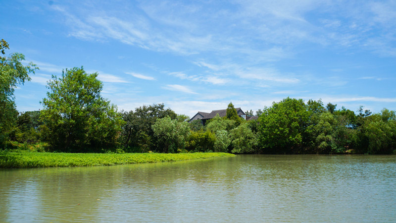 Wetland Scenery in Xixi