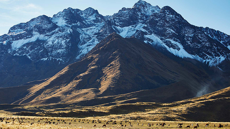 Andes Mountains