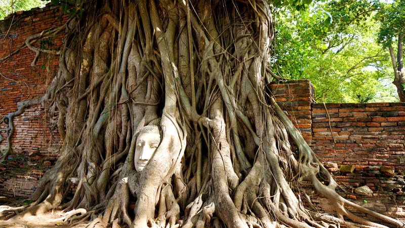 Wat Mahathat, Ayutthaya