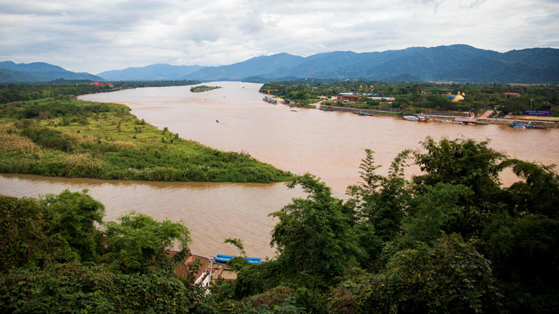 Lush Greenery in Chiang Rai