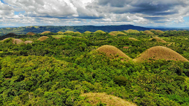 Chocolate Hills