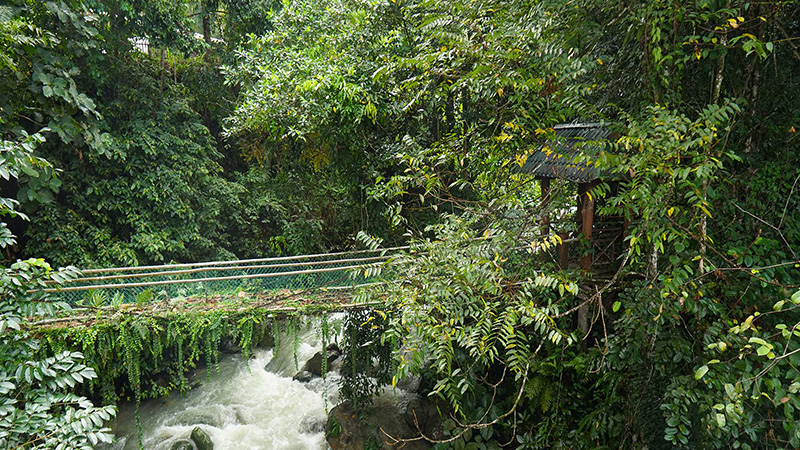 Kinabalu National Park, Malaysia Borneo