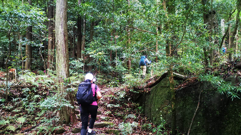 Kumano Kodo Nakahechi Trail