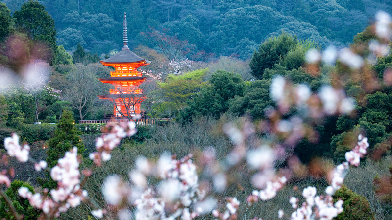 Kiyomizu-dera, Kyoto