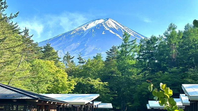 Mt. Fuji in Summer
