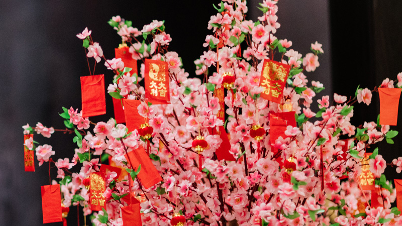 Spring Festival (Chinese New Year) Decoration