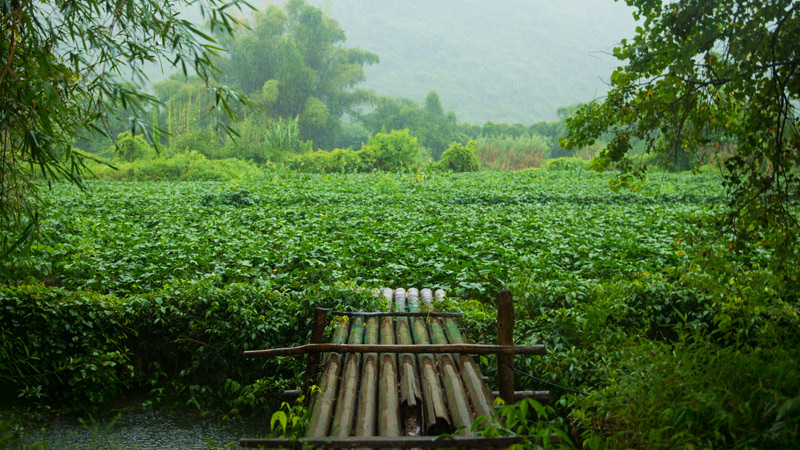Qingming Trekking