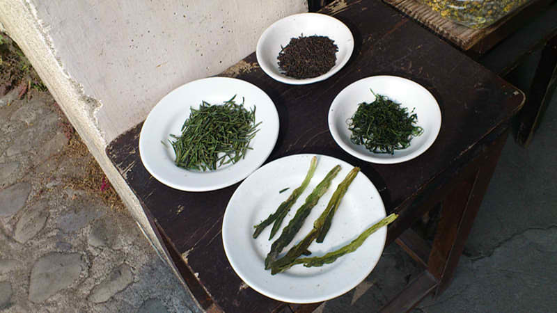 Huangshan Tea Production