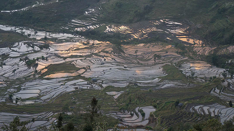 Yuanyang Rice Terraces