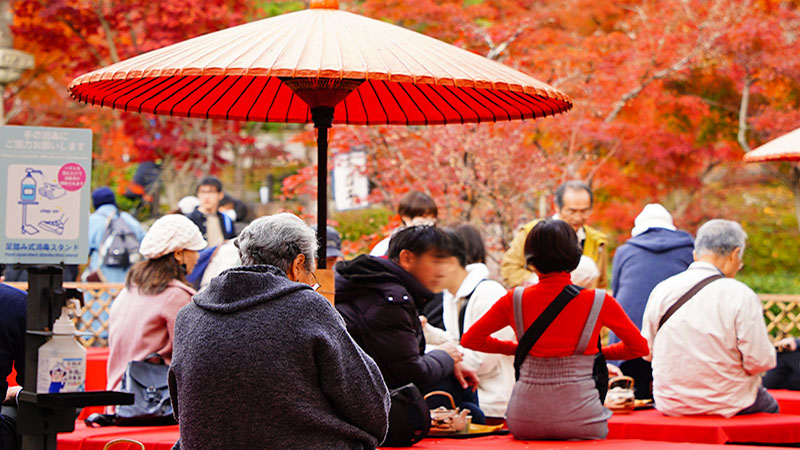 Autumn in Japan