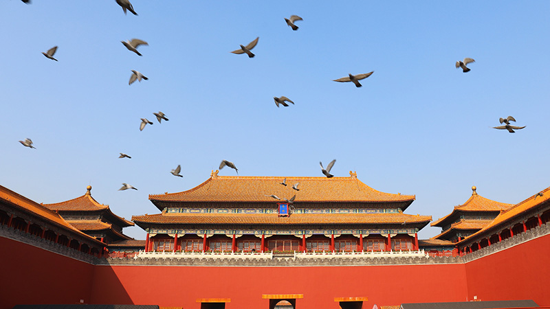 the Forbidden City