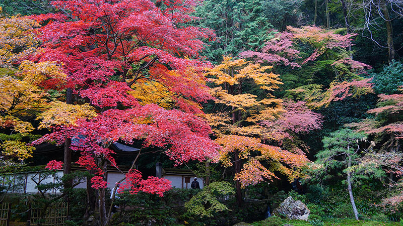 The View in September