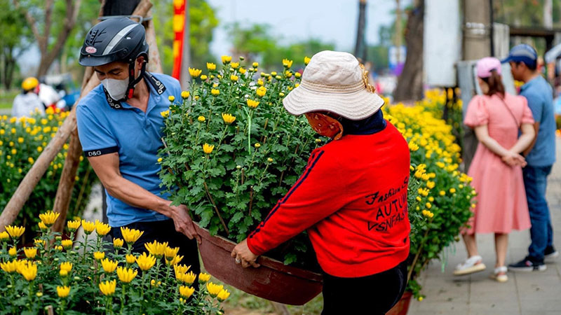Buy Flowers in Tet Festival