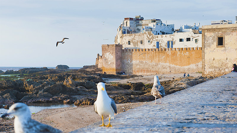 Medina of Essaouira