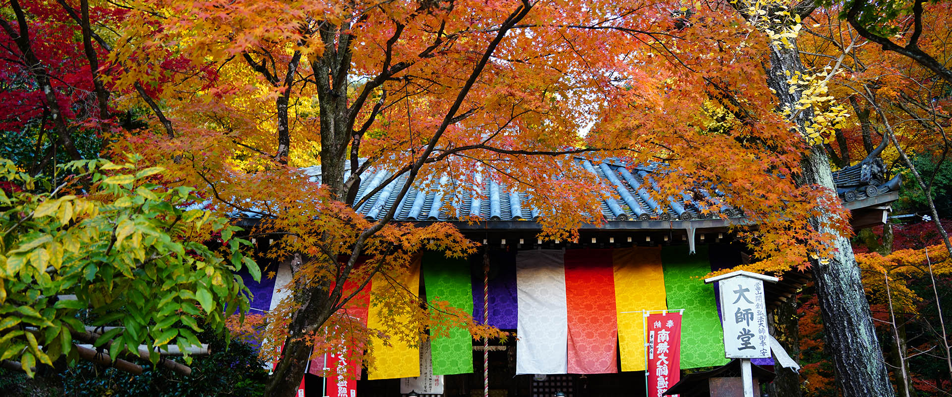 Japan Fall Foliage: 2026 Autumn Leaves Forecast Map