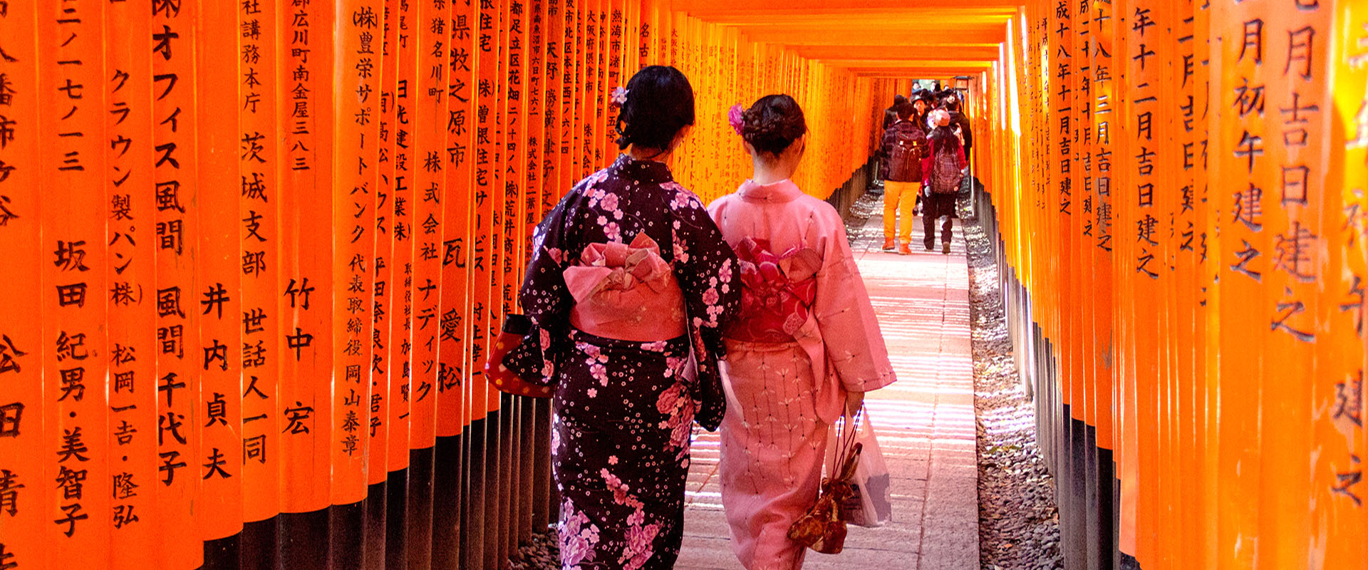 Is 2026 the last year to visit japan