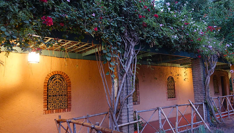 Jardin Majorelle Garden