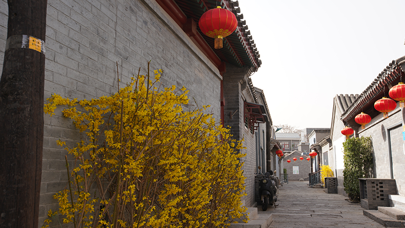 Flowers are blooming in Hutong