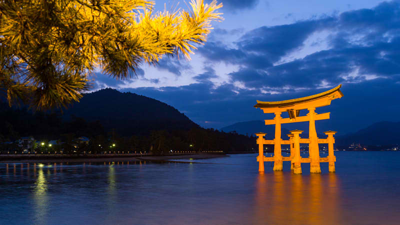 Miyajima Shrine at Night