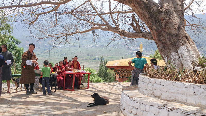 Daily Life in Punakha