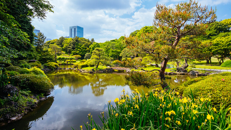 Shinjuku Gyoen, Tokyo