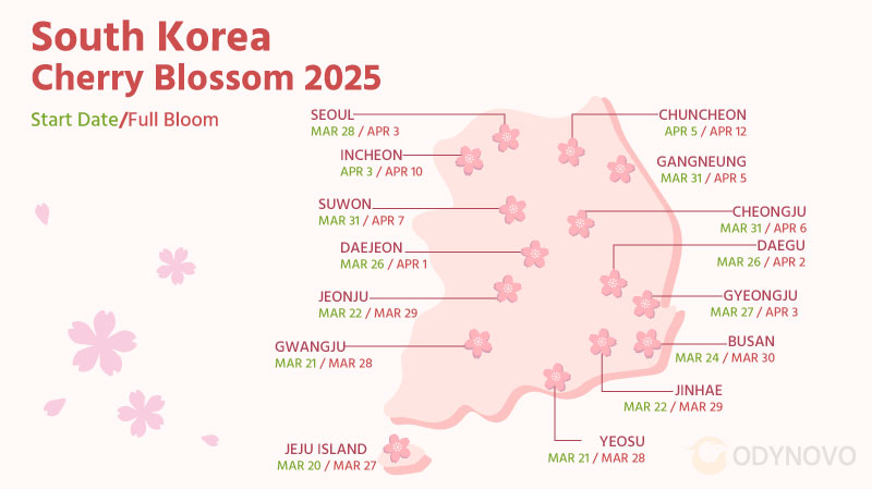 South Korea Cherry Blossoms Forecast 2025: Best Spots, Festivals