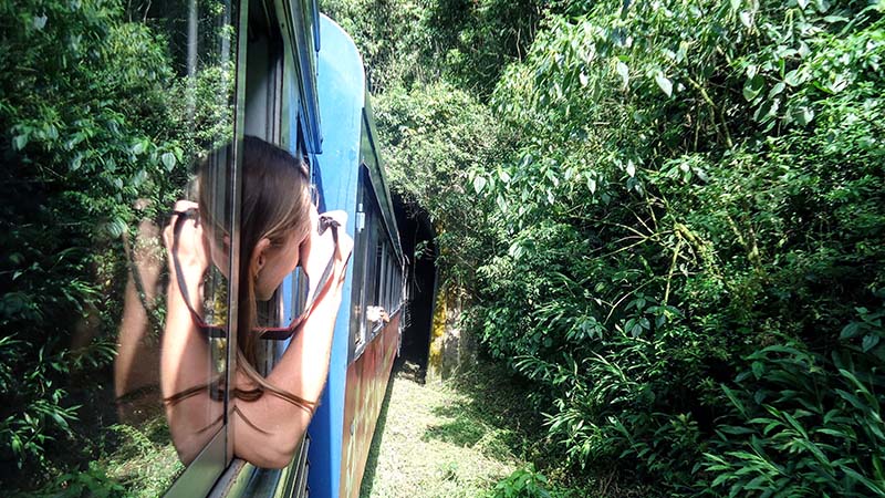 Taking Photos in India's Toy Train