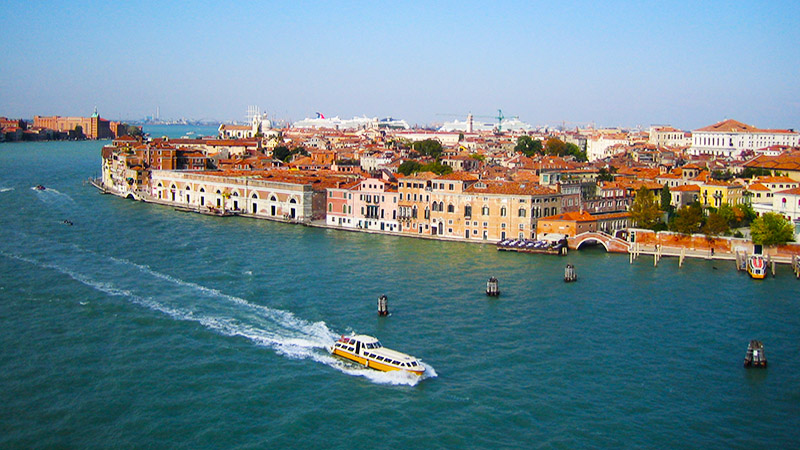 Veince's Stunning View