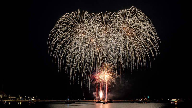 Golden Weeping Willow Fireworks