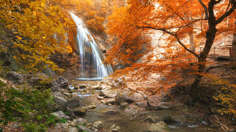 Waterfall Among the Autumn Leaves