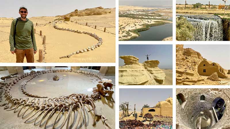 View of Faiyum Oasis