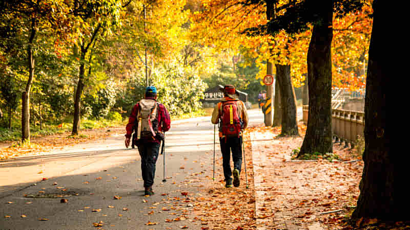 Autumn Hike in South Korea