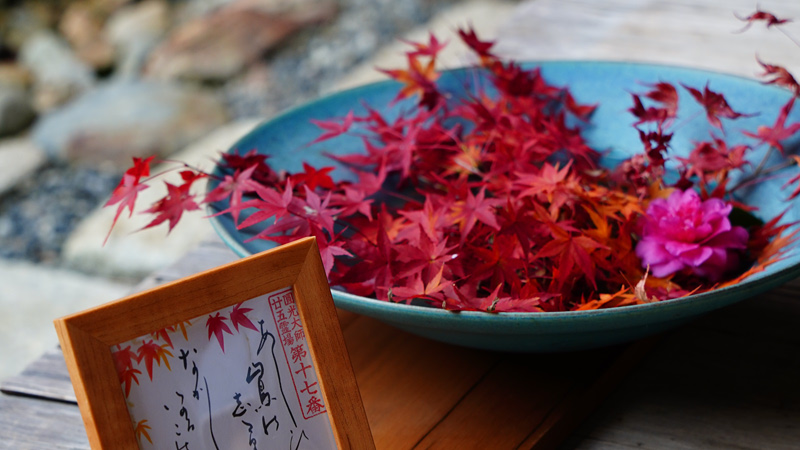 Tea Houses Decorations in Autumn Flavor
