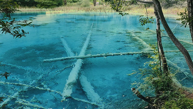 Clear blue water of Jiuzhaigou 