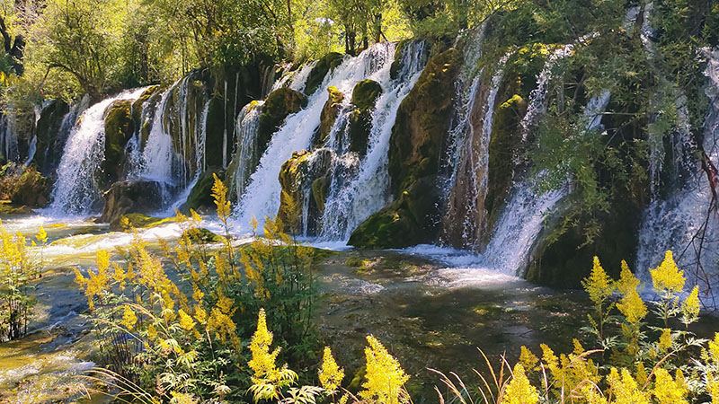 The summer scenery of Jiuzhaigou
