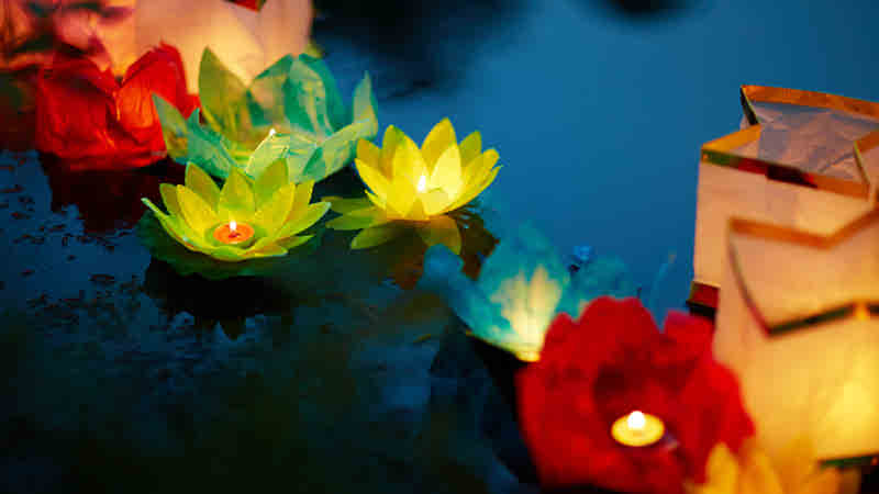 Lotus Lanterns