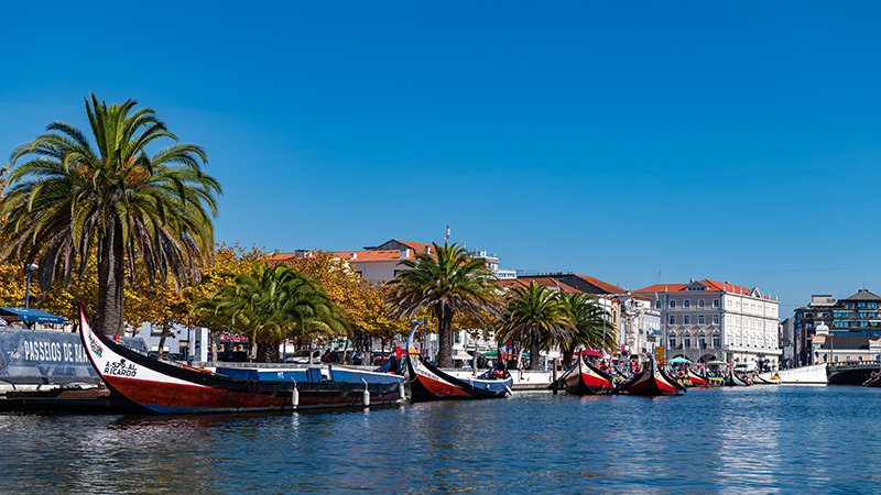 Moliceiro Boats in Aveiro