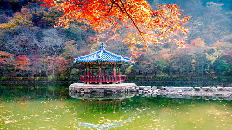 Naejangsan Lake in Fall