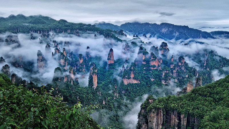 Aerial view of Zhangjiajie National Forest Park