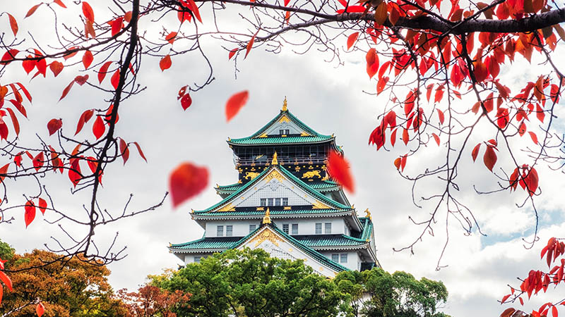 Osaka Castle With Red Leaves Falling