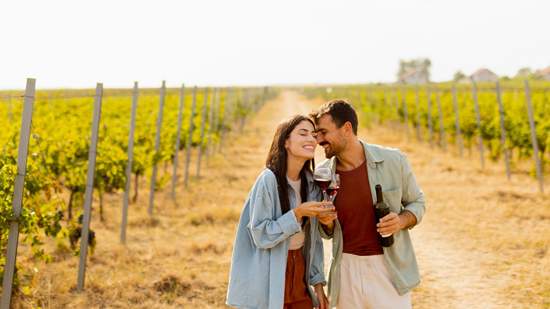Wine Tasting in Portugal's Vineyard