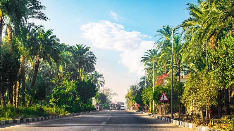 Road Along the Nile