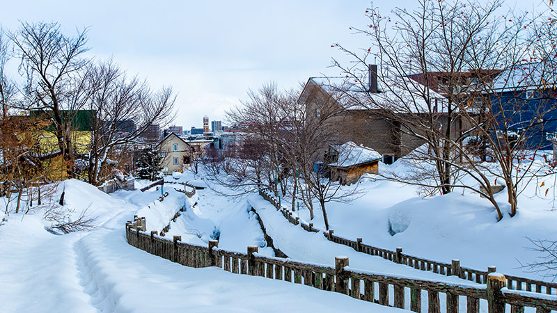 Winter View of Sapporo