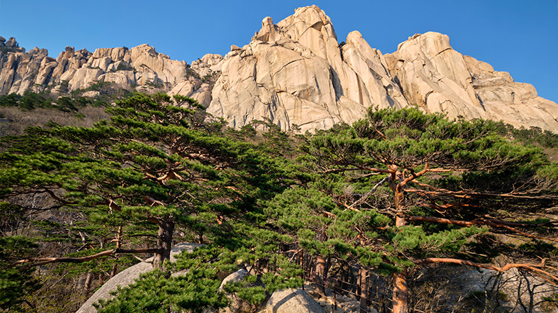 Seoraksan National Park