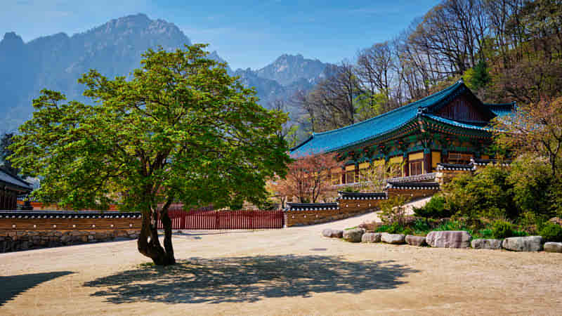 A Peaceful Environment at the Foot of the Mountain