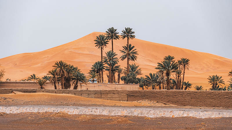 The Sahara Desert
