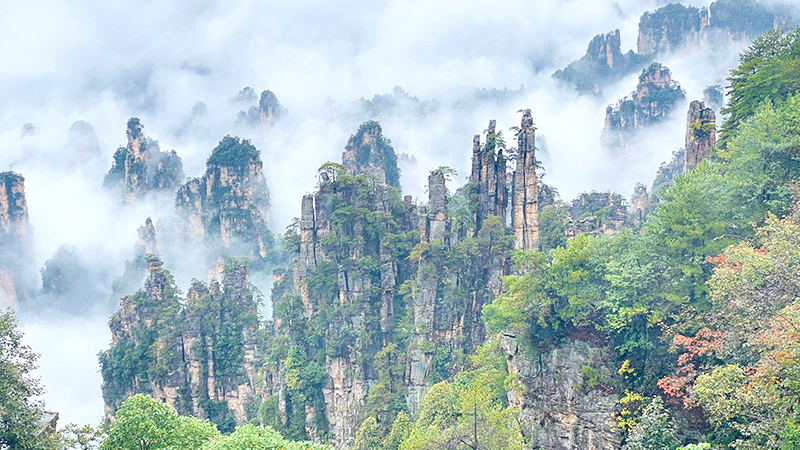 Tianzi Mountain and a sea of clouds
