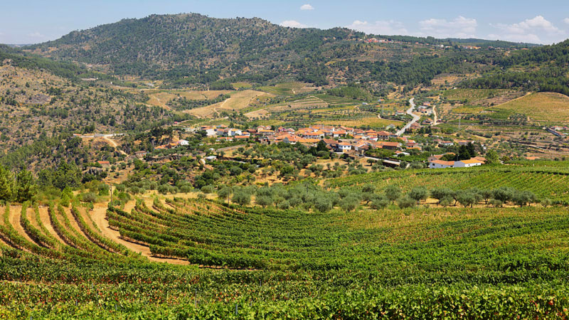 The Northern Wine Region of Vinho Verde (Minho)