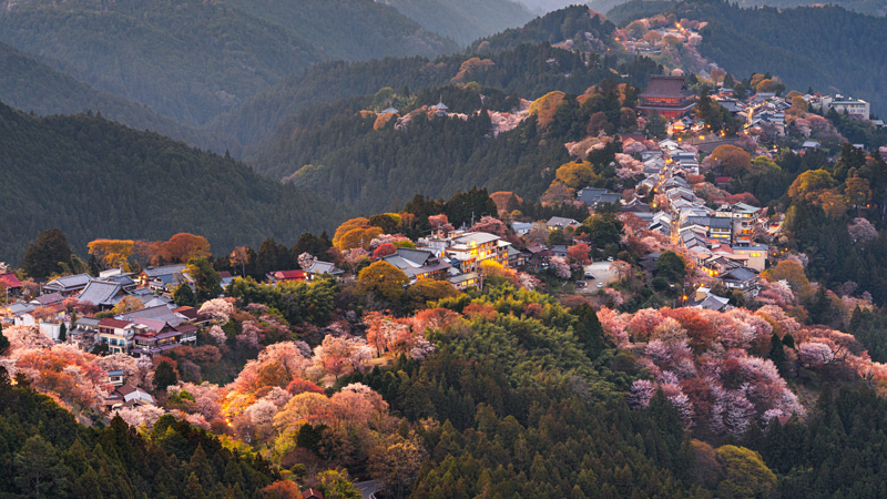 Yoshinoyama in Spring